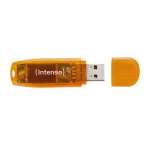 Intenso Rainbow Line - Chiavetta USB - 64 GB - USB - arancione